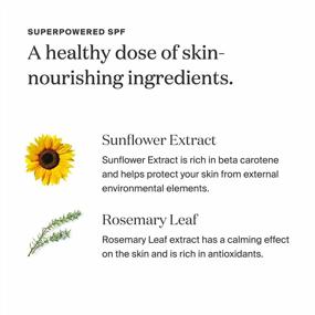 img 1 attached to Supergoop PLAY Everyday SPF 50 Lotion - 2 Pack - Broad Spectrum Sunscreen For Sensitive Skin, Water & Sweat Resistant Body & Face Sunscreen, Clean Ingredients, Reef-Friendly Formula