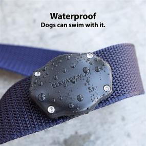 img 2 attached to 🐶 TagVault Pet: Waterproof Collar Mount for Apple AirTag - Ultra-Durable & Fits All Width Collars