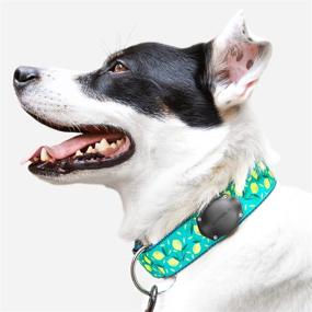 img 3 attached to 🐶 TagVault Pet: Waterproof Collar Mount for Apple AirTag - Ultra-Durable & Fits All Width Collars