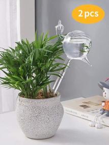 img 3 attached to 2 Pack Hand Blown Clear Glass Self Watering Globes, Automatic Plant Waterer Bulbs For Indoor & Outdoor - KiKiHeim Plant Watering Globes