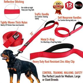 img 3 attached to Primal Pet Gear Leash Long Dogs ... Training & Behavior Aids