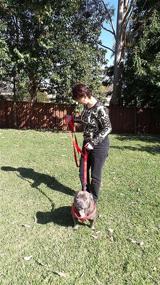 img 2 attached to Primal Pet Gear Leash Long Dogs ... Training & Behavior Aids