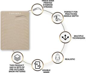 img 3 attached to 🔧 BRAWNA Microblading & Microshading Practice Tools