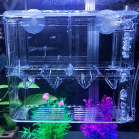 img 3 attached to 🐠 J-star Aquarium Breeder Box: Ideal Separation, Protection, and Incubation for Baby Fish in Your Tank