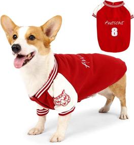 img 4 attached to Lianzimau Baseball Sweater Clothes Costume Autumn Dogs