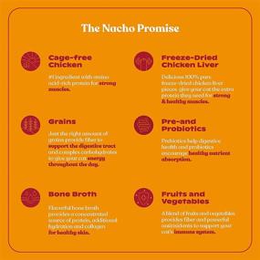 img 1 attached to Nacho Dry Cat Food: Cage-Free Poultry & Pumpkin or Sustainably-Caught Fish 🐱 & Pumpkin Recipe - High Protein (2) 2 LB Bags (4 LBS Total)