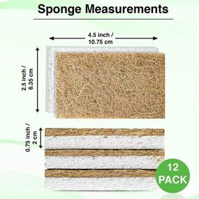 img 2 attached to 🌴 P&amp;K Natural Coconut Cellulose Sponges - 12pcs Biodegradable Dish Sponges - Safe, Odorless, and Eco-Friendly Kitchen Sponge Set