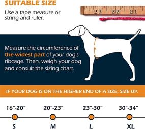 img 1 attached to Jackets Adjustable Flotation Superior Buoyancy Dogs