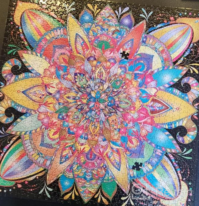 img 1 attached to 1000 Piece Mandala Jigsaw Puzzle - Creative Colorful Black Fantasy Bgraamiens Color Challenge Puzzle review by Timothy Henry