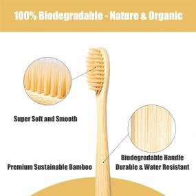 img 3 attached to 🌱 Eco-Friendly Biodegradable Toothbrushes: Daletu Reusables