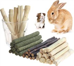 img 4 attached to 300G Guinea Pig And Rabbit Chew Toys With Sweet Bamboo Apple Sticks, Timothy Apple Sticks, Fruit Acid - Prevent Overgrown Teeth & Relax.
