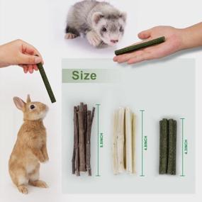 img 3 attached to 300G Guinea Pig And Rabbit Chew Toys With Sweet Bamboo Apple Sticks, Timothy Apple Sticks, Fruit Acid - Prevent Overgrown Teeth & Relax.
