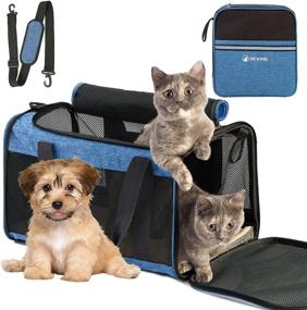 img 4 attached to 🐱 SEVVIS Cat Carriers: Soft-Sided Pet Carrier for Large Cats 20 lbs+, Dogs & 2 Cats - Portable, Collapsible, Top Loading