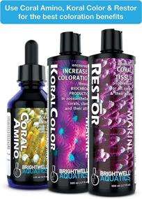 img 1 attached to Revitalize Your Coral with Brightwell Aquatics Restor - Liquid Coral Tissue Nutritional