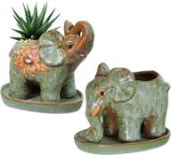 ретро глазурованные сукулентные горшки с изображением слона - набор из 2 горшков и блюдца для декорирования дома и сада. логотип