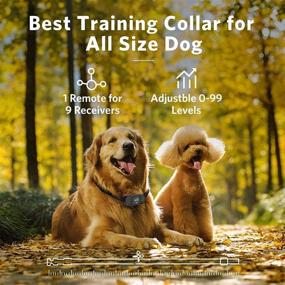 img 1 attached to 🐶 Large Medium Dog Training Collar - Remote Control Shock Collar for Dogs with Beep, Vibration, Static Modes, Keypad Lock, Adjustable Shock Levels 0-99, Extended Remote Range