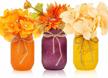 fall into cozy with harvest mason jars: perfect for your dining room and living room decor logo