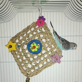 img 1 attached to 🦜 Universal XH Bird Parrot Toys - Foraging Wall Toy with Hanging Hook, Seagrass Woven Mat & Colorful Wooden Blocks - Ideal for Lovebirds, Budgerigars, Conures, and Cockatiels