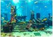 sticker aquarium background underwater decorations fish & aquatic pets and aquarium decor logo