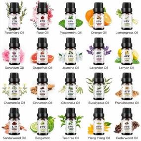 img 3 attached to Organic Aromatherapy Essential Oil Set For Home - 20 Pack 10Ml Bottles Of Pure And Natural OTU Oils For Diffusers, Massages, Custom Candles And Baths - Perfect Gift For Loved Ones
