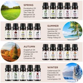 img 1 attached to Organic Aromatherapy Essential Oil Set For Home - 20 Pack 10Ml Bottles Of Pure And Natural OTU Oils For Diffusers, Massages, Custom Candles And Baths - Perfect Gift For Loved Ones