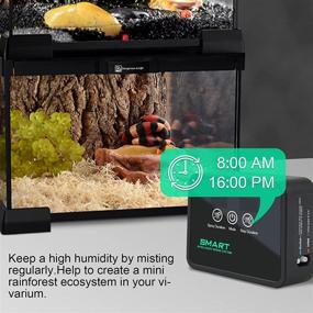 img 2 attached to 🦎 DZZCIO Reptiles Mini Automatic Mister: Terrarium Fogger System with Smart Mist, Timing Controller, Adjustable 360° Spray Nozzles, Intelligent Humidifier for Vivarium Tank, Amphibians