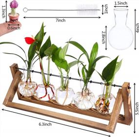 img 3 attached to Retro-Inspired Plant Terrarium Kit: A Chic Indoor Decor Solution With Hydroponic Planting Option
