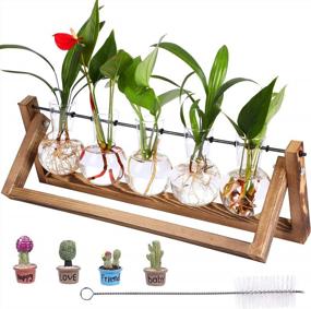 img 4 attached to Retro-Inspired Plant Terrarium Kit: A Chic Indoor Decor Solution With Hydroponic Planting Option