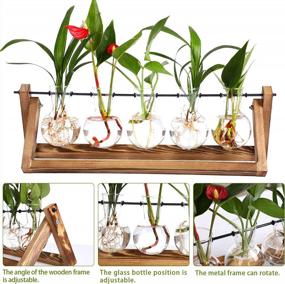 img 1 attached to Retro-Inspired Plant Terrarium Kit: A Chic Indoor Decor Solution With Hydroponic Planting Option