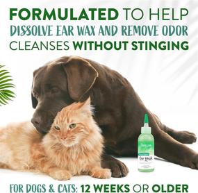 img 1 attached to TropiClean Alcohol Free Ear Wash For Pets, 4Oz - Alcohol Free - Made In USA - Dog Ear Cleaner Solution - Dog Ear Wash - Pet Otic Drops - Soothes Itching & Infection - Vet Recommended