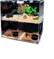 🦎 reptile terrarium 4-grids enclosure box for tarantula, insect, scorpion - clear display case logo
