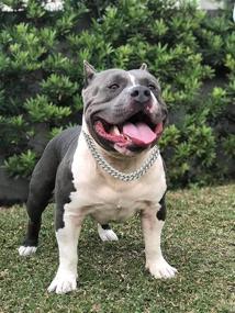 img 3 attached to Halukakah Gold Chain Iced Out Dog Collar, Diamond Cuban Link Necklace 14MM 18k Real Gold/Platinum Plated - XS-XXL Sizes with Free Giftbox - Decoration Only