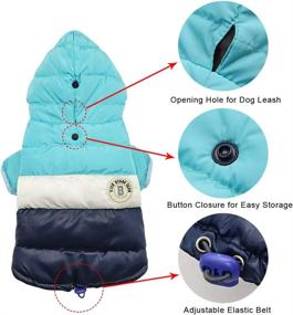 img 2 attached to 🐾 Stay Warm and Stylish: PET ARTIST Waterproof Dog Winter Coat Hoodie for Extra Small Breeds - Blue/Navy, Chest 13.5”(34cm)