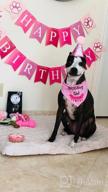 img 1 attached to Make Your Dog'S Birthday Special With GAGILAND Birthday Party Set - Dog Bandana, Hat, Banner & More In Pink With Balloon! review by Martin Masaniai