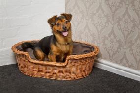 img 3 attached to 🐶 Prestige Wicker Dark Dog Bed Basket with Cushion - Extra Small, Wicker Material