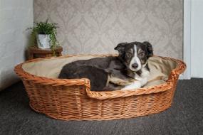 img 1 attached to 🐶 Prestige Wicker Dark Dog Bed Basket with Cushion - Extra Small, Wicker Material