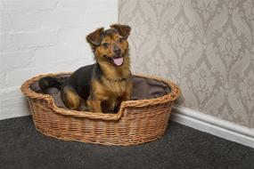 img 2 attached to 🐶 Prestige Wicker Dark Dog Bed Basket with Cushion - Extra Small, Wicker Material