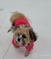 img 1 attached to Warm & Windproof Dog Coats For Small Dogs - LesyPet Grey S review by Tina Pagan