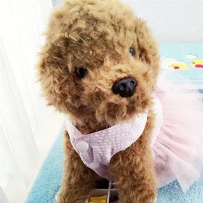 img 2 attached to 🐶 SEO-Optimized: Pet Dog Princess Dresses with Striped Mesh for Fashionable Canines