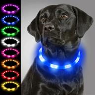 usb rechargeable led dog collar for night safety - joytale light up collar in blue - glows in the dark, ideal for small, medium, and large dogs logo