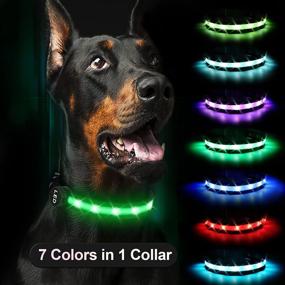 img 4 attached to 🐶 RANTOJOY Rechargeable LED Lighted Dog Collar: 7 Colors in 1, Glow Safety Necklace, Pet Flashing Collar for Night Visibility