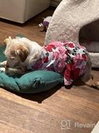 img 1 attached to KYEESE Floral Rose Dog Dresses with Flowers Decoration - Elegant Princess Dress for Small Dogs, Ideal for Spring and Summer - Puppy Apparel and Pet Clothing review by Scott Koeck