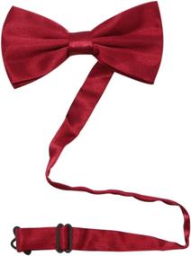 img 1 attached to 🎀 Stylish Suspenders Pre Tied Bowtie JAIFEI Champagne for a Sophisticated Look