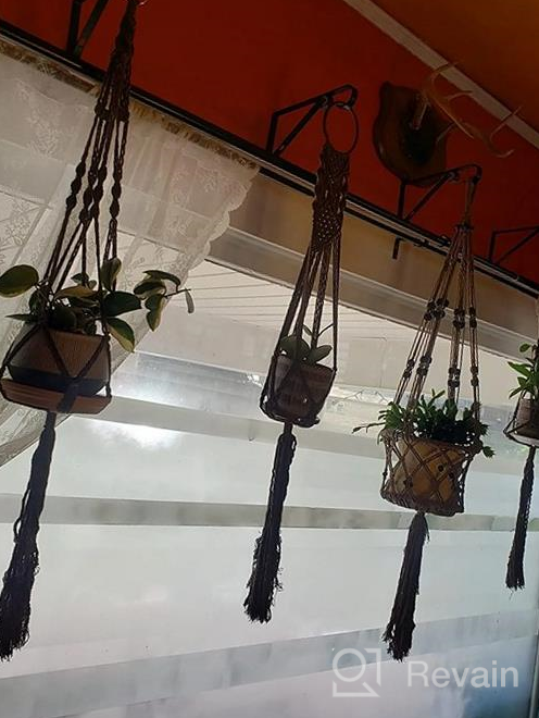 img 1 attached to Add Vibrant Greenery To Your Home With ZOUTOG'S Set Of 4 Handcrafted Macrame Plant Hangers review by Carlos Cardoso