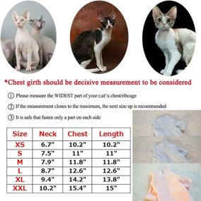 img 3 attached to Bonaweite Hairless T Shirt Breathable Peterbald Dogs -- Apparel & Accessories