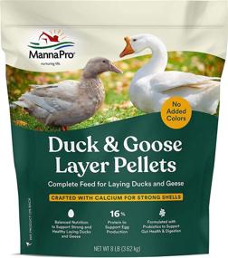 img 4 attached to 🦆 Manna Pro Duck Layer Pellet: Boost Egg Production with High Protein & Probiotics for Optimal Digestion Support