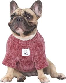 img 4 attached to 🐶 Purple Corduroy Winter Sweater for French Bulldog & Shiba Inu - Size M