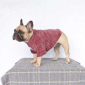 img 1 attached to 🐶 Purple Corduroy Winter Sweater for French Bulldog & Shiba Inu - Size M