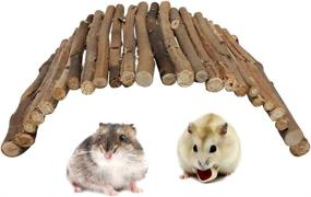 img 4 attached to LWINGFLYER Natural Wood Bridge Ladder For Hamster Rats Mouse Guinea Pig Chinchilla Ferret Reptile Small Animals Cage Wooden Hideout Toy (1 Bridge 11"×6.5")