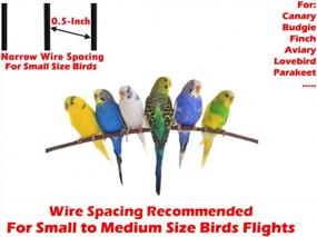 img 4 attached to XL Corner Parrot Bird Flight Cage W/Seed Guard - 30"X30"X64"H, White Vein
